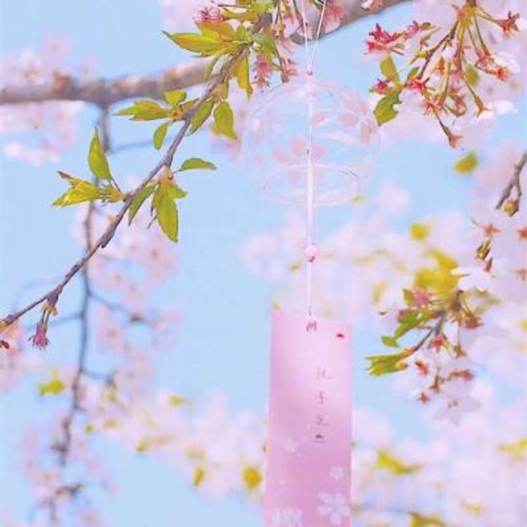 雪代缘（身份：雪代巴弟弟、上海黑帮老大、虎伏绝刀式使用者） - 独家访谈节目在线观看 - 网络视频